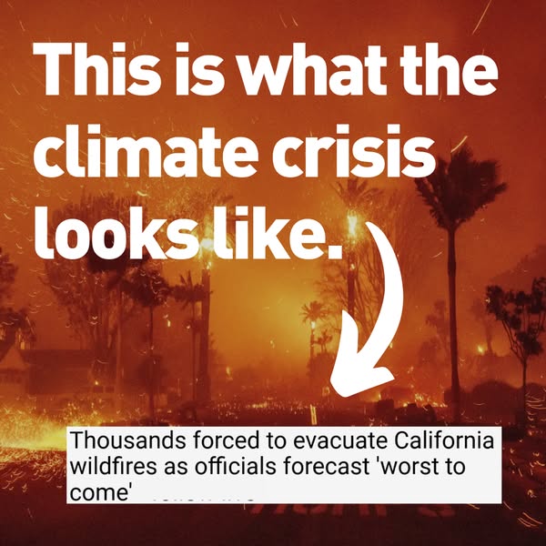 evacuate