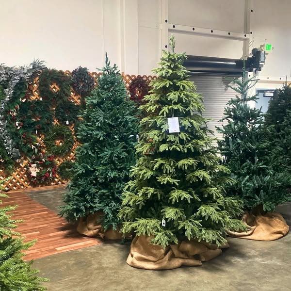 Holiday Sale