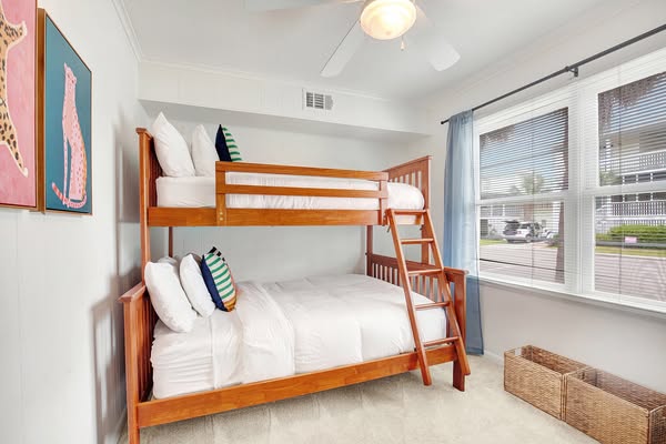 Cozy south