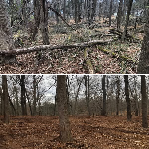 Powerful clearing