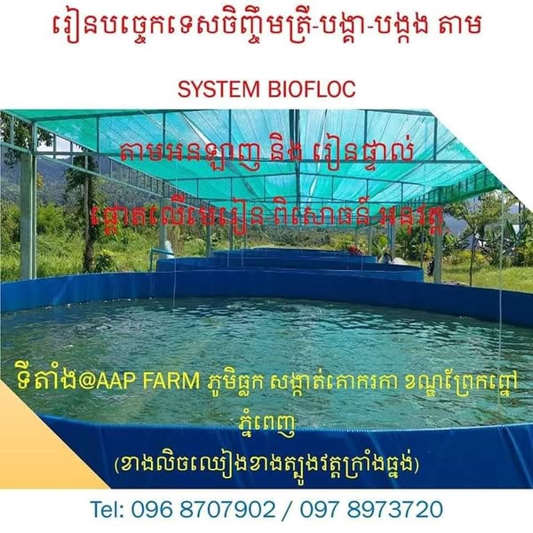 Bright chlorine