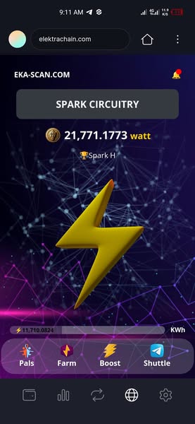 Chain Wallet