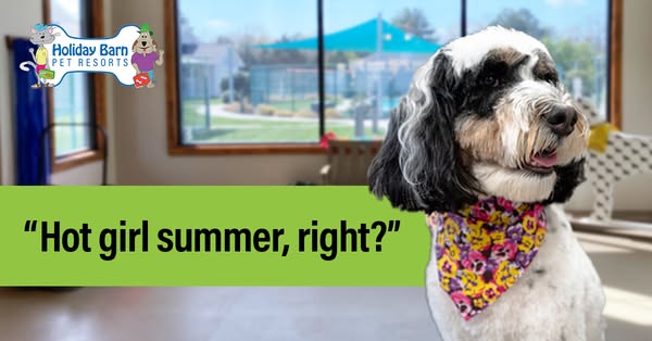Shop for Pet Grooming