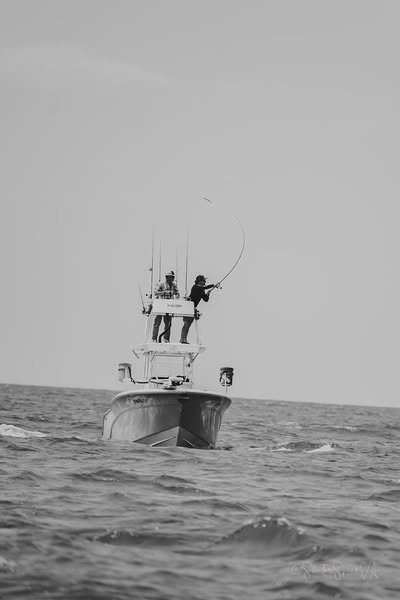 fishery