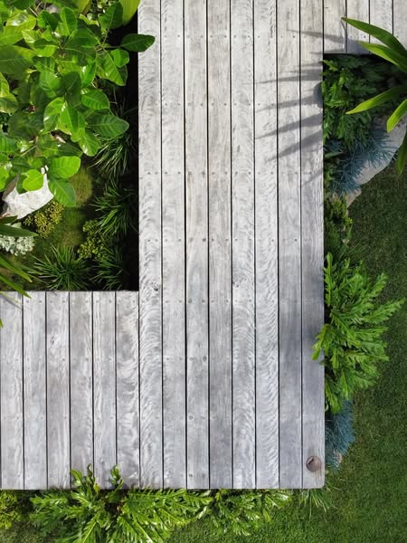 Rich boardwalk