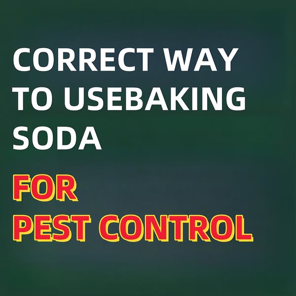Eco-friendly Products