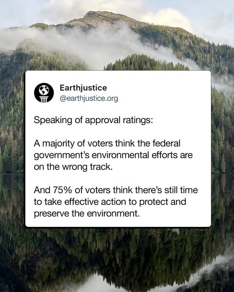 Effective trump