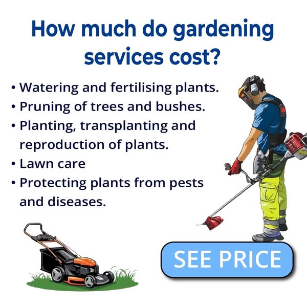pruning