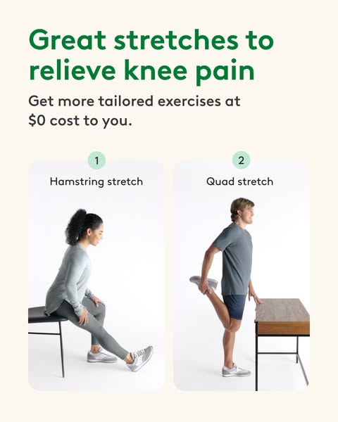 hamstring
