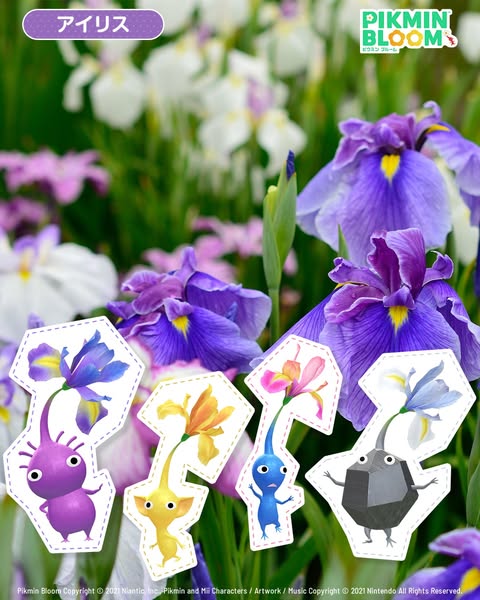 Pikmin Bloom