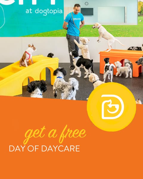 Valuable daycare
