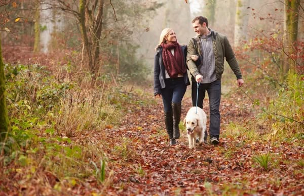 Perfect stroll
