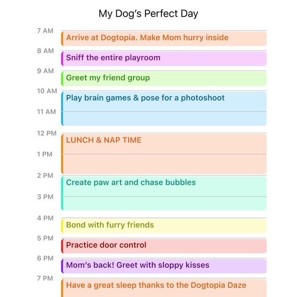 Unlimited pup