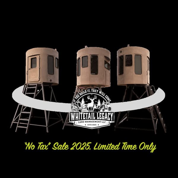 Popular limited