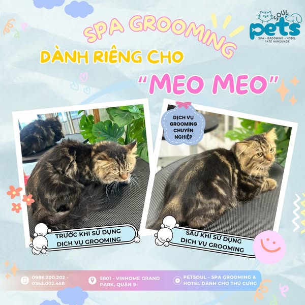 Shop for pet grooming
