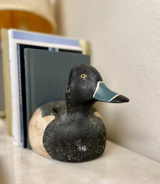 Timeless duck
