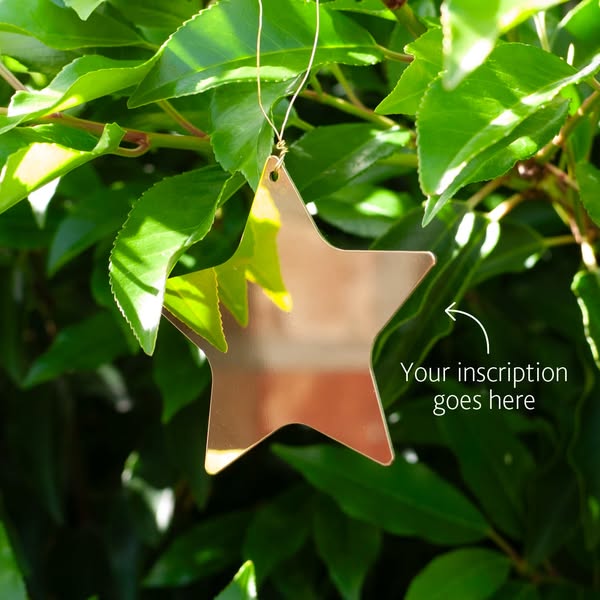 Shop Sustainable