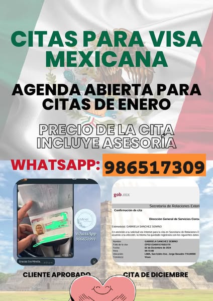 av-mx.com