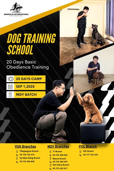 Shop for pet grooming