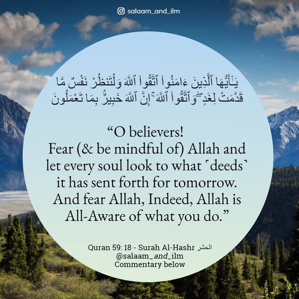 Wise heed
