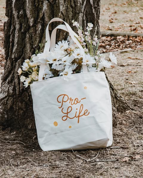 Shop for everyday essentials