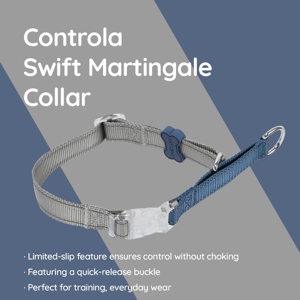 Adjustable Dog Collar