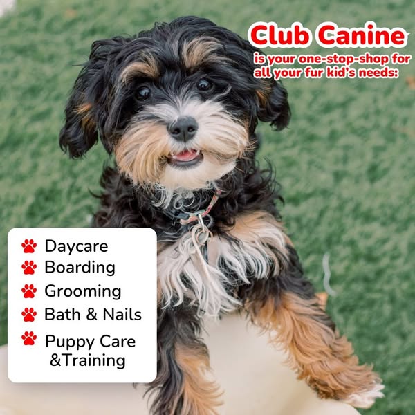 Shop for pet grooming