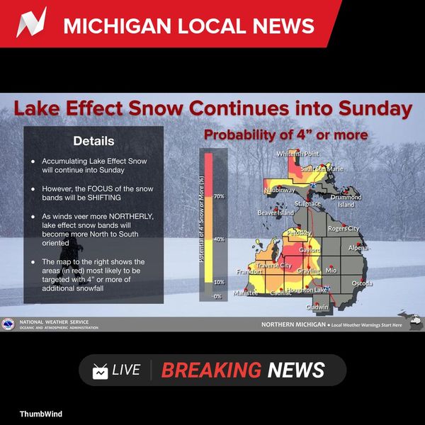 Winter Snowfall