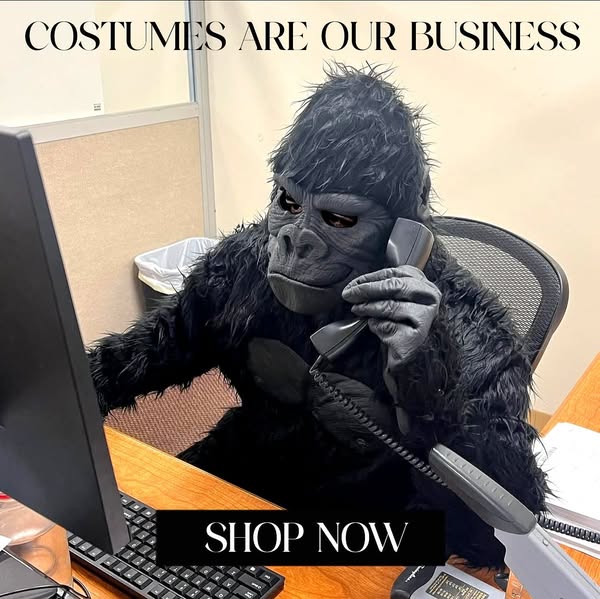 Shop for seasonal collections