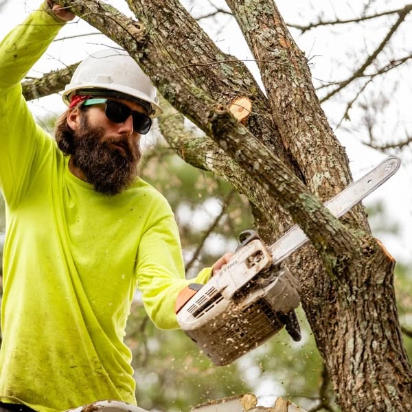 Affordable stump