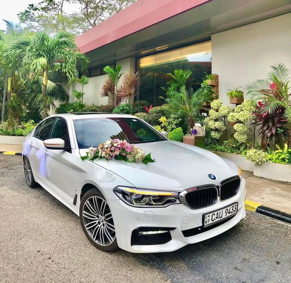 Luxurious series