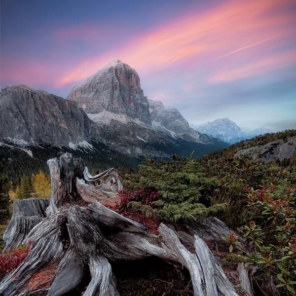 Stunning photograph