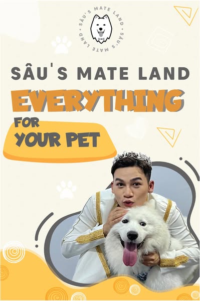 Shop for pet grooming products