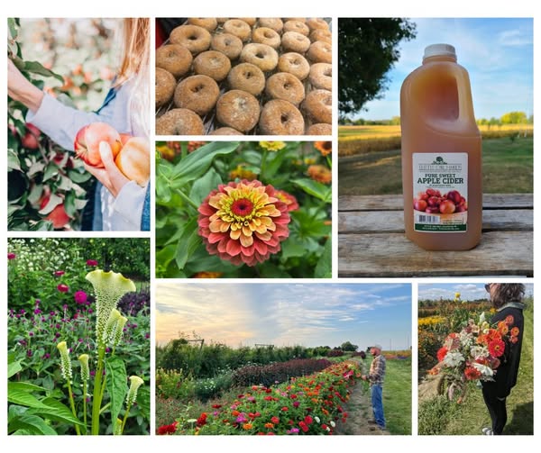 Shop Garden