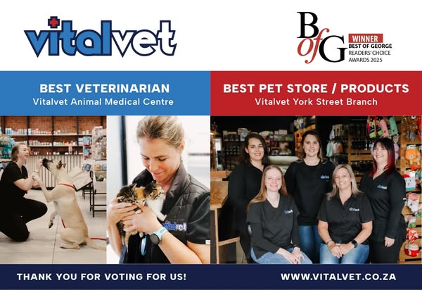 Shop for pet care products