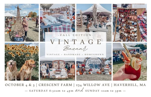 Shop for vintage finds
