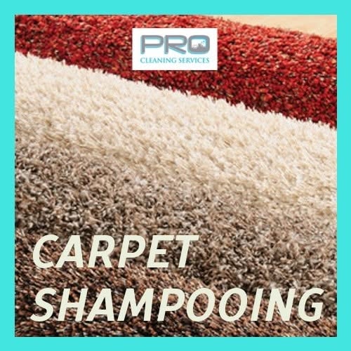 Shop for pet food