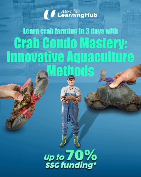 Innovative maintain
