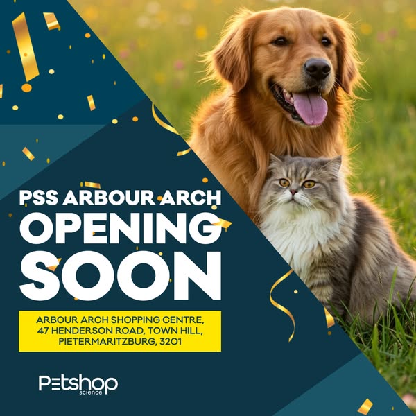 Beauty essentials shopping