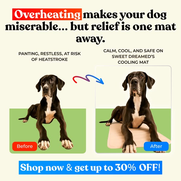 Shop Stress Relief