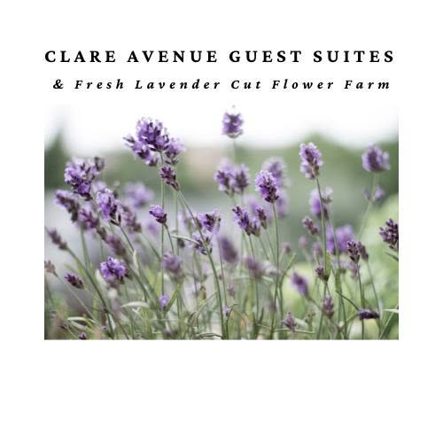 Unique lavender