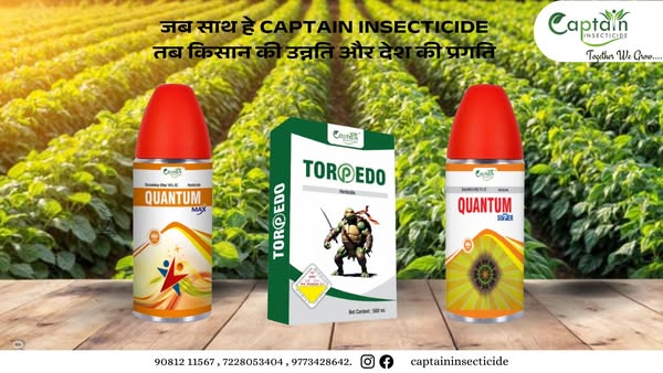 insecticide