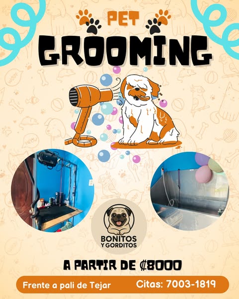 Shop for pet grooming