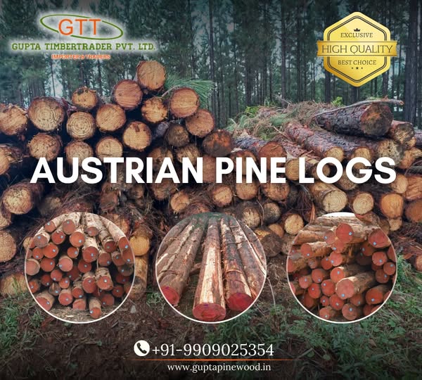 Exceptional importer
