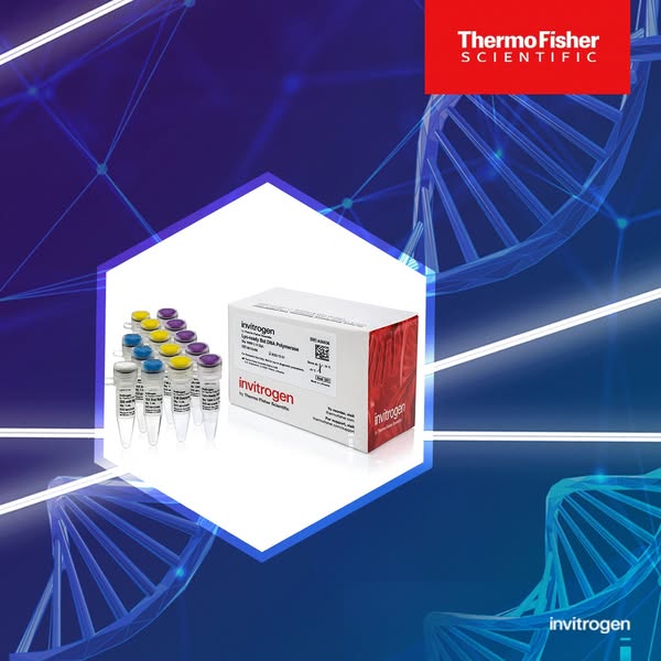 Fast assay
