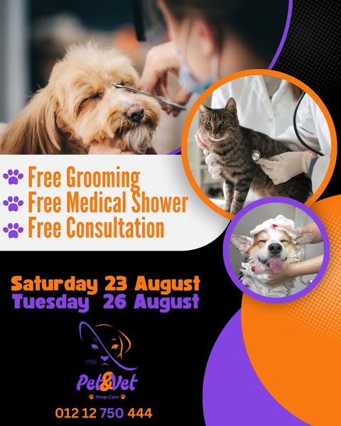 Shop for pet grooming