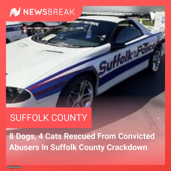 crackdown