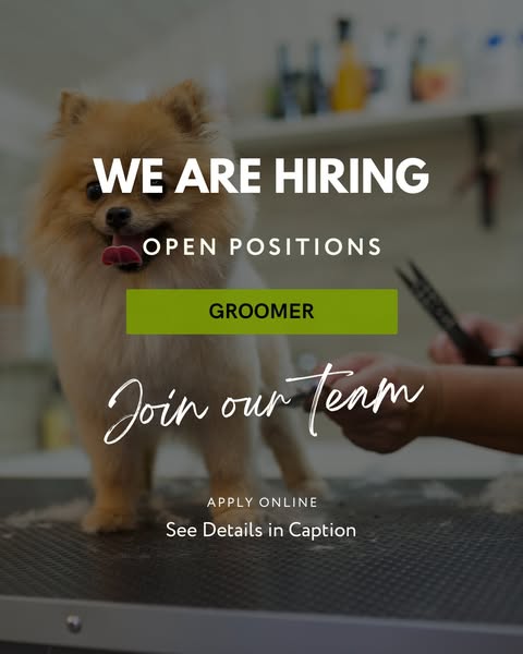 Shop for pet grooming