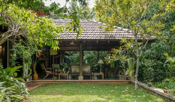 Cost-effective timber