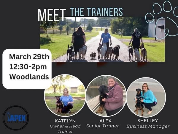 Personalized trainer